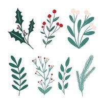 Christmas and New Year winter foliage collection. Holly berry, mistletoe, branch with leaf, fir tree vector set. Festive holiday design elements floral clip art