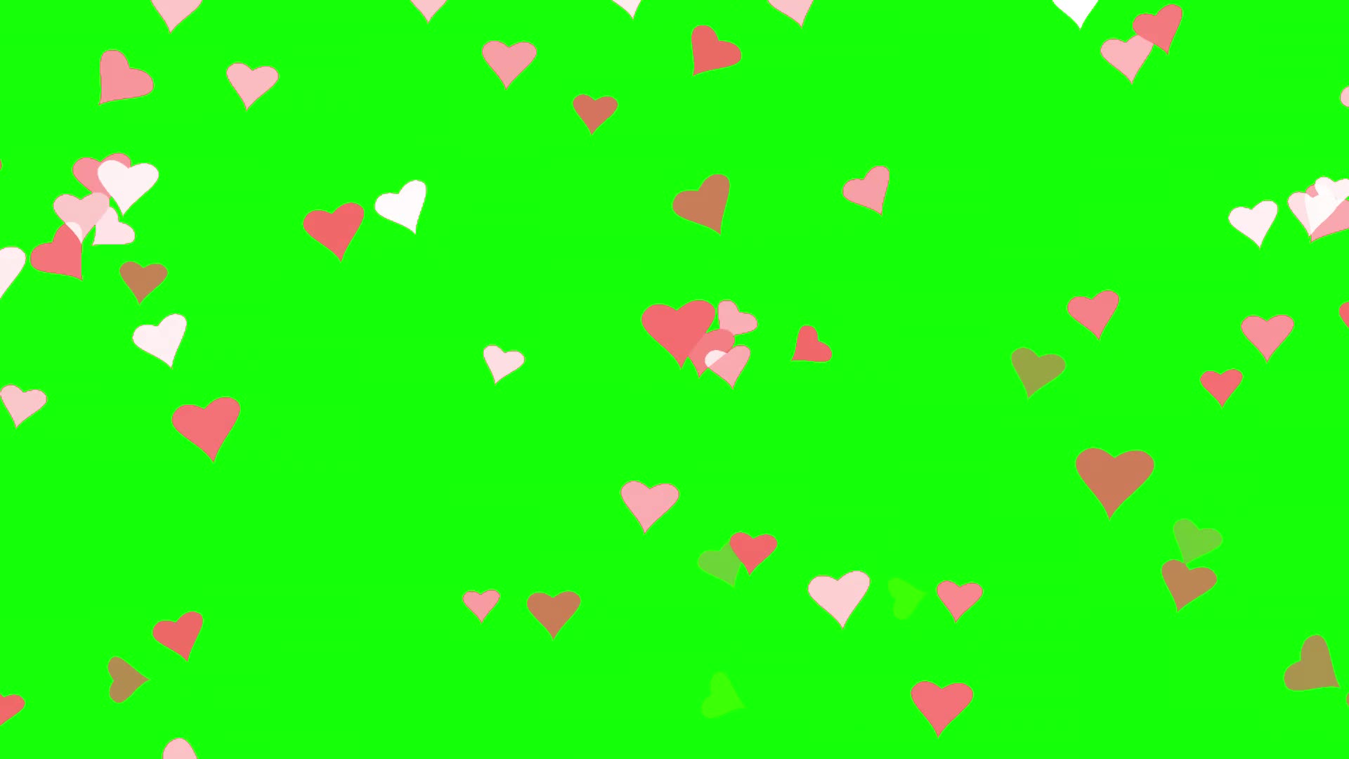 Green Screen Heart Effect Stock Video Footage for Free Download