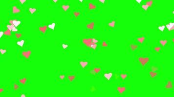 animazione del ciclo di particelle di cuore rosa con schermo verde video