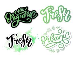 Organic set brush lettering. Hand drawn word organic with green leaves. Label, logo template for organic products, healthy food markets. vector