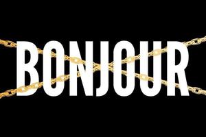 Decorative BONJOUR HELLO slogan Text with Leopard Skin Background vector