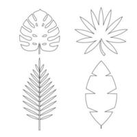Palma tropical, icono de hojas de monstera aislado sobre fondo blanco. conjunto de elementos de diseño natural. ilustración vectorial eps10