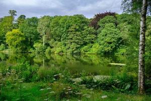 Hermoso paisaje de follaje de árboles y el estanque de peces en el área de Harewood House Trust en West Yorkshire en el Reino Unido foto