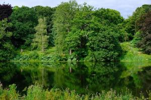 Hermoso paisaje de follaje de árboles y el estanque de peces en el área de Harewood House Trust en West Yorkshire en el Reino Unido foto