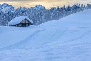 After the snowfall. Last lights of the twilight in Sappada. Magic of the Dolomites photo