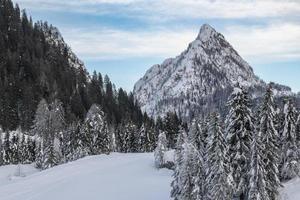 después de la nevada. Últimas luces del crepúsculo en sappada. magia de los dolomitas foto