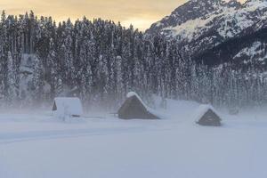 After the snowfall. Last lights of the twilight in Sappada. Magic of the Dolomites photo