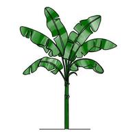 continuous line spotted banana leaves vector