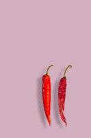Cover page with a pair red and hot pepperoni paprika chili, one fresh another is old and dried displayed with its shadow at pink solid background with copy space for text. photo