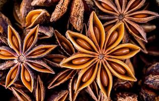 Chinese star anise close up background. Dried star anise spice fruits top view.