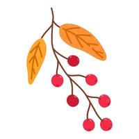 Twig with cranberries and golden leaves isolated on white background. Vector hand-drawn illustration in cartoon flat style. Perfect for your project, cards, logo, decorations.