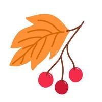 Twig with cranberries and golden leaves isolated on white background. Vector hand-drawn illustration in cartoon flat style. Perfect for your project, cards, logo, decorations.