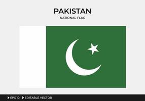 ilustración de la bandera nacional de pakistán vector