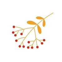 yellow rowan branch with red berries vector