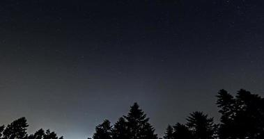 tracce stellari nel cielo notturno - modalità cometa, lasso di tempo di tracce stellari, alberi di pino in primo piano, avala, belgrado, serbia. il cielo notturno è astronomicamente preciso. video