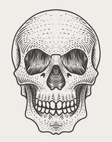 illustration skull head with engraving style