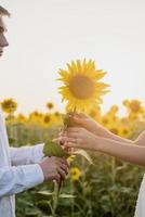 Close up of couple hands holding sunflower against sunset sky photo