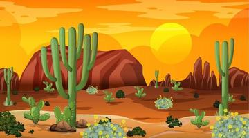 Desert forest landscape at sunset time scene with many cactuses vector