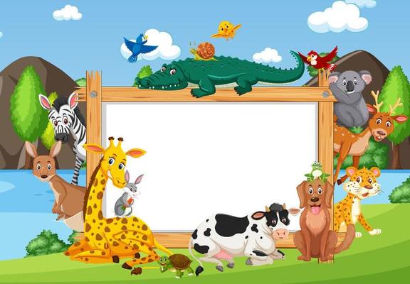 Empty wooden frame with various wild animals in the forest