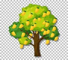 Mango tree on grid background vector