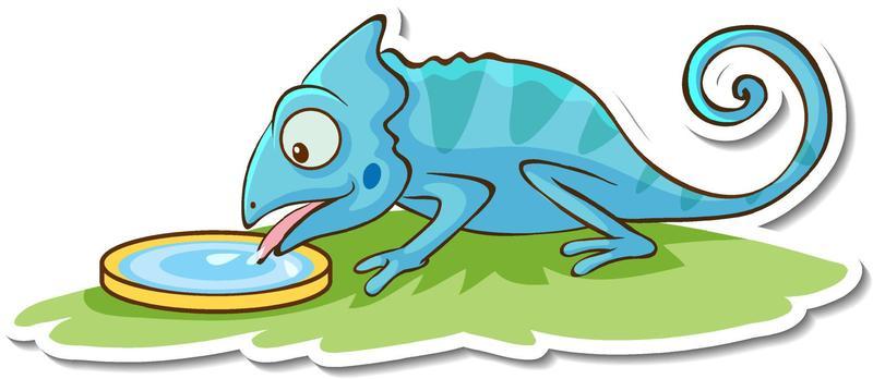 Sticker design with chameleon drinking water isolated