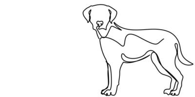 continuous line drawing of cute dog vector