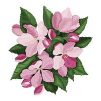 Spring flowers. Pink cherry or apple blossoms and bright juicy leaves. A design element for the design of postcards, banners and websites.