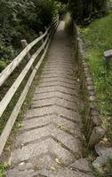 Wooden path in the forest photo