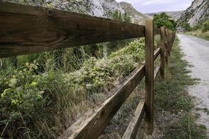 Wooden railing in the forest photo