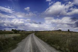 Mountain road in a forest photo