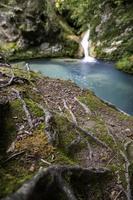 Waterfall in a wild forest photo