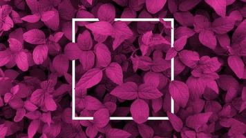 Creative layout made with violet leaves background, square frame. This is a blank for advertising card. Nature concept. Autumn poster. photo