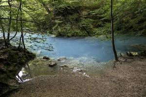 Crystal clear water in a wild forest photo