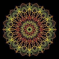 Indian mandala design vector