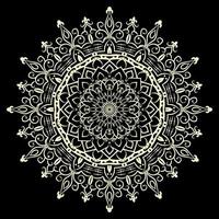 Circular pattern in form of mandala vector