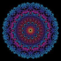 Circular pattern in form of mandala vector