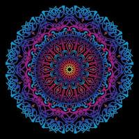 Circular pattern in form of mandala vector