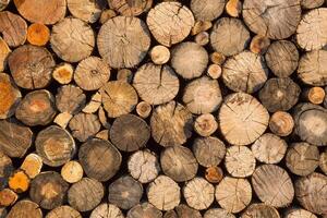 Patterns and textures of wood for the background.