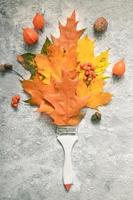 Flat lay Autumn orange leaves, brush, physalis, rowan top view photo