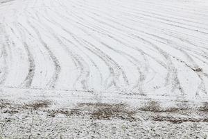 First snow on the hill towns. Between autumn and winter photo