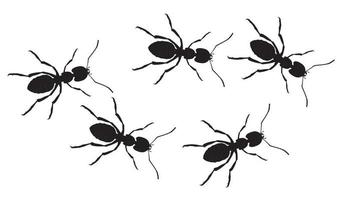 A line of worker ants marching in search of food. Vector banner