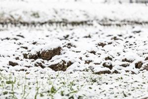 First snow on the hill towns. Between autumn and winter photo