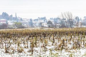 First snow on the hill towns. Between autumn and winter photo