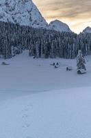 After the snowfall. Last lights of the twilight in Sappada. Magic of the Dolomites photo