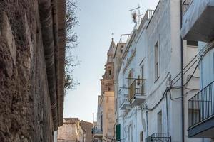 Monopoli, the port and the historic center photo