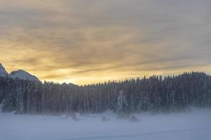 After the snowfall. Last lights of the twilight in Sappada. Magic of the Dolomites photo