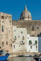 Monopoli, the port and the historic center photo