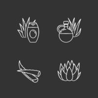 Aloe vera chalk white icons set on black background vector