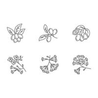 Conjunto de iconos lineales perfectos de píxeles de flora brasileña vector
