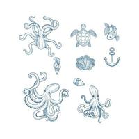 Marine illustrations octopus nautical set wild squid shells monster kraken hand drawn collection